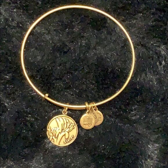 Alex &  Ani sisters bracelet - Picture 1 of 3